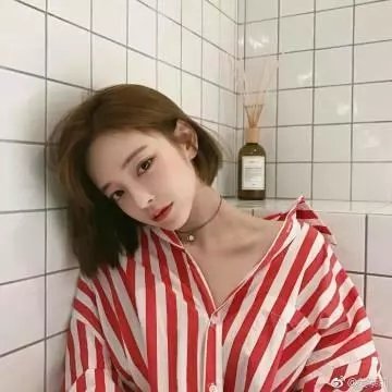 最后的维米尔